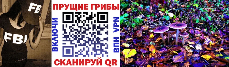 Галлюциногенные грибы GOLDEN TEACHER Мостовской